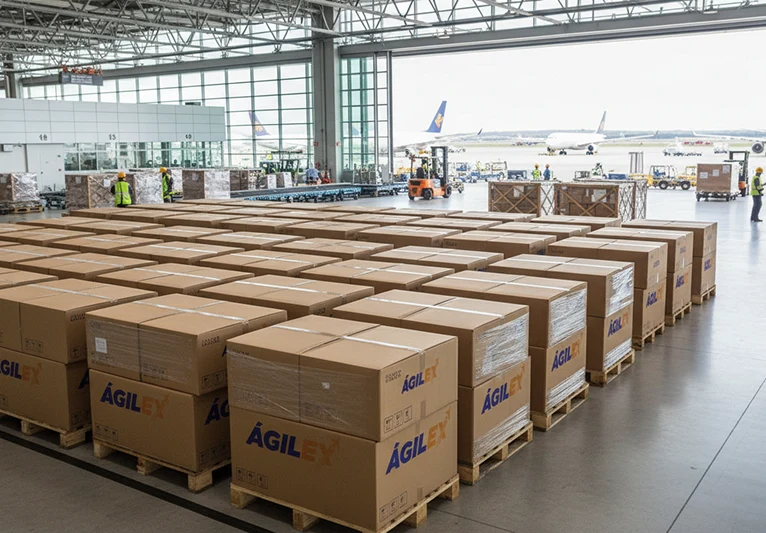 Decenas de cajas de cartón con el logo de Ágilex organizadas sobre pallets de madera en un hangar aeroportuario con aviones visibles al fondo, representando la logística de exportación masiva.